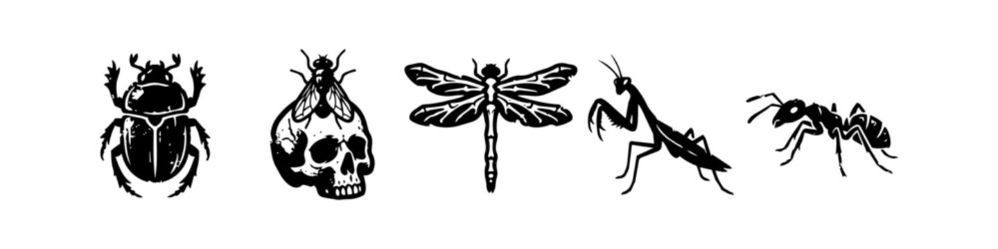 Distressed Insect and Skull Grunge Vector Set
