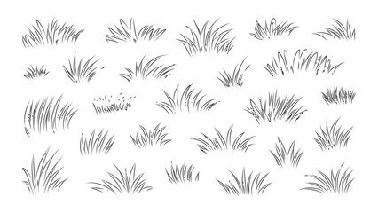 Set of linear grass silhouettes isolated on a transparent background, outline design elements. © Sara Studio