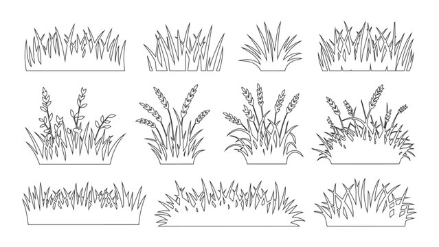 Hand drawn meadow grass and wheat stalks vector illustration collection for landscape design.