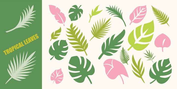 Minimalist tropical leaves vector set with monstera palm and fern foliage.