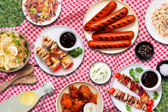 Outdoor summer BBQ food scene on a red and white check cloth and grass background. Assortment of grilled meats, salads and sides. Top down view.