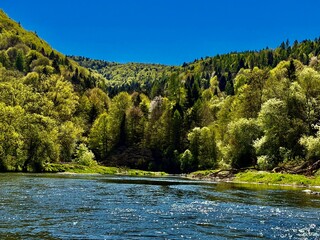 river in the forest © Aneta