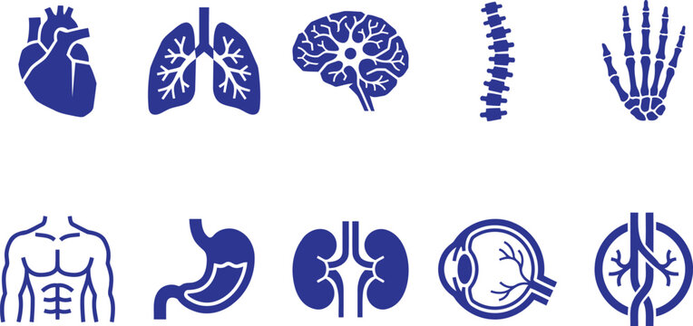 Blue medical organ icons on white background including heart lungs brain spine hand stomach intestines kidneys eye and trachea
