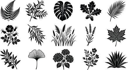 Collection of black botanical silhouettes: fern, olive branch, monstera, oak leaves, palm frond, rosehip, willow © hr graphics