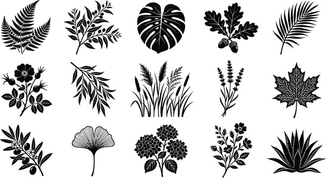 Collection of black botanical silhouettes: fern, olive branch, monstera, oak leaves, palm frond, rosehip, willow