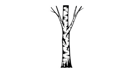 Stylized Birch Tree Silhouette, Vector Illustration, Minimalist Nature Art © Wagi