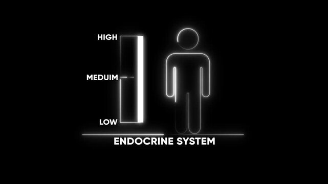 Endocrine system hormone level indicator infographic animation