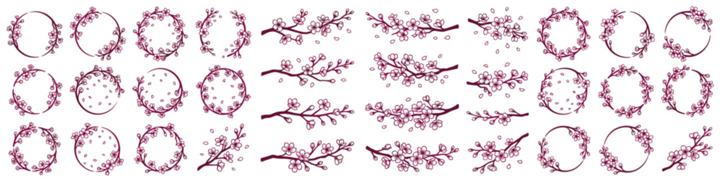 Decorative cherry blossom branches and sakura wreaths hand drawn with pink contour lines on transparent background. Vintage japanese floral collection. Circular natural design element.Vector