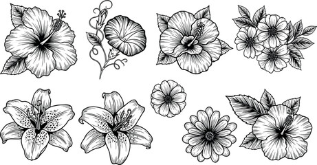 Fototapeta premium Hand Drawn Floral Vector Set with Vintage Hibiscus Blooms Engraved Lily Outlines and Decorative Daisy Botanical Sketches for Luxury Invitation Designs