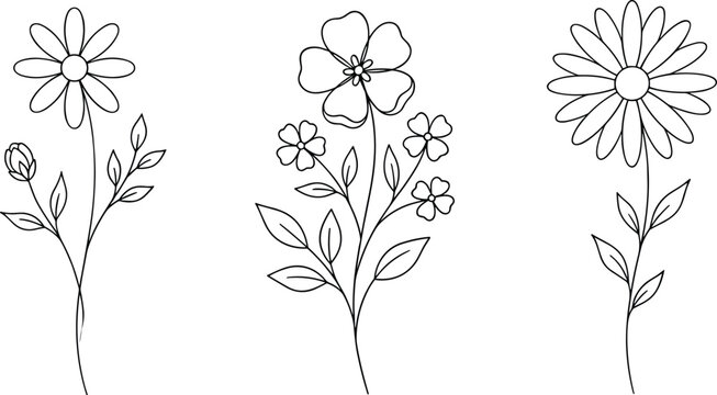Minimalist Hand Drawn Wildflower Line Art Vector Set Featuring Black Ink Outlines of Daisy and Botanical Elements for Wedding and Logo Designs