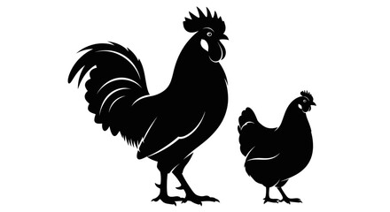 Rooster and hen standing side by side. © alam