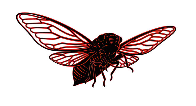 Detailed illustration of a red cicada.