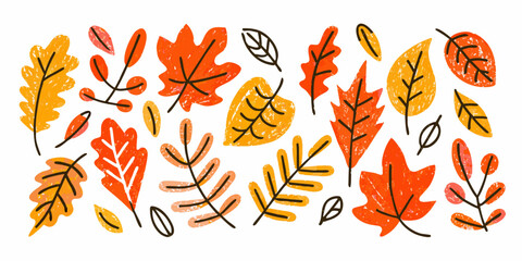 Fototapeta premium Autumn leaves arrangement a hand drawn vector illustration on white background