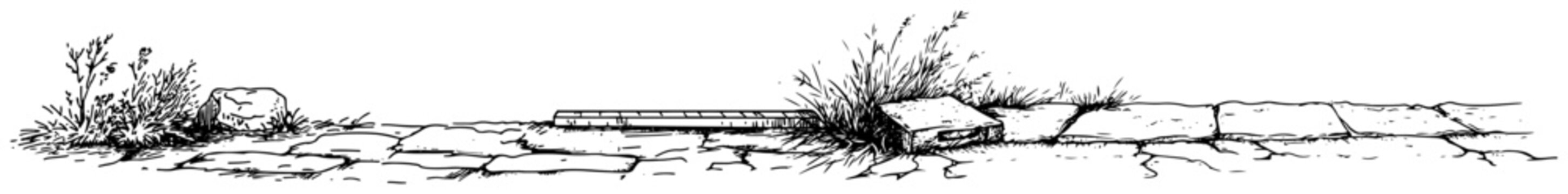 Stone path and cracked pavement with grass in vintage engraving style