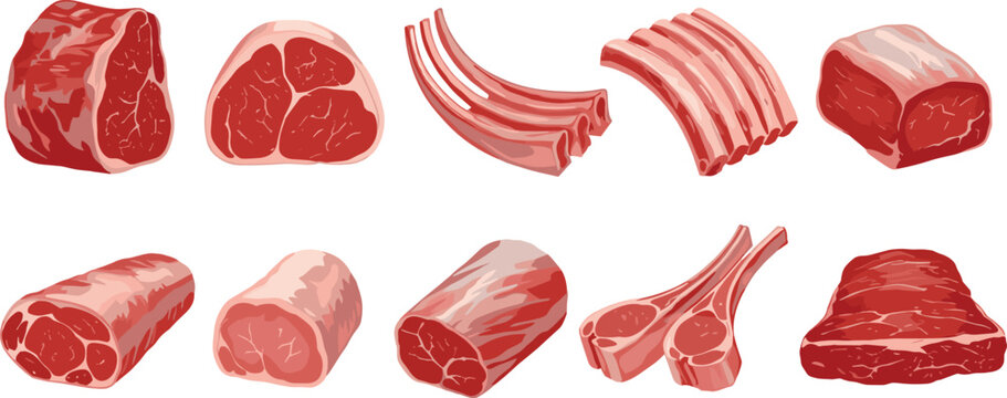 Fresh Raw Meat Cuts Vector Set Featuring Beef Steak Tenderloin Pork Loin Lamb Chops Ribs and Brisket for Butchery and Menu Designs