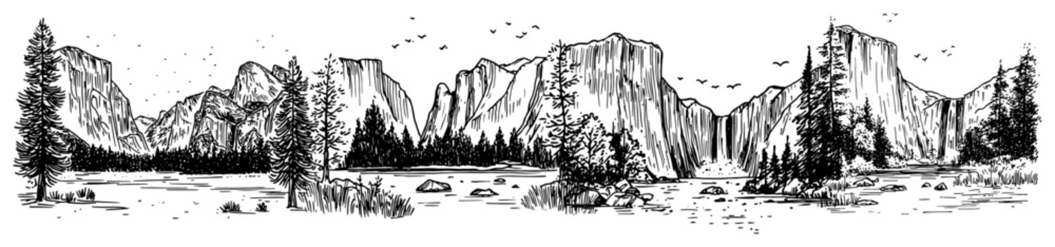 Mountain valley with pine forest and waterfall panoramic landscape vector sketch in engraving style