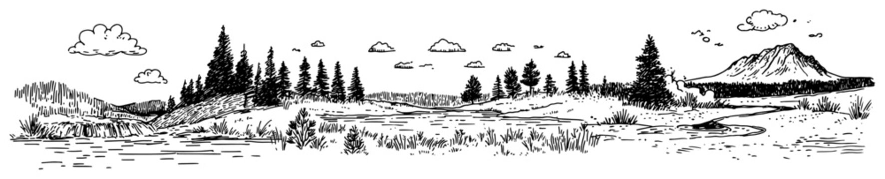 Panoramic nature landscape with pine forest and mountains in vintage engraving style