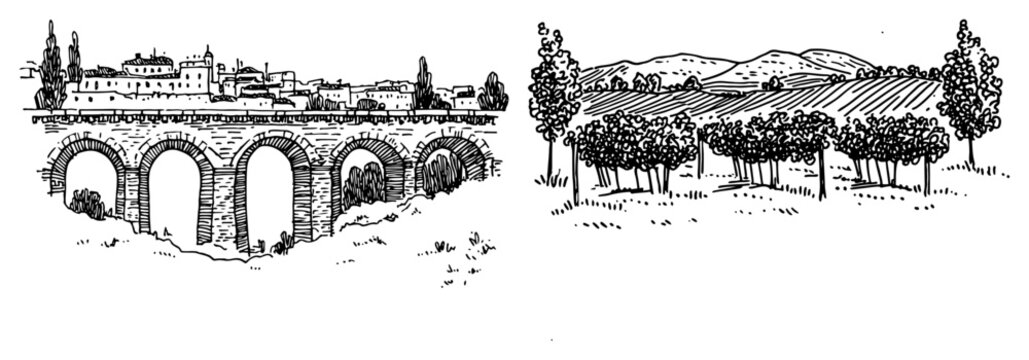 Ancient stone aqueduct bridge and rolling hills vineyard landscape vector sketch set in engraving style