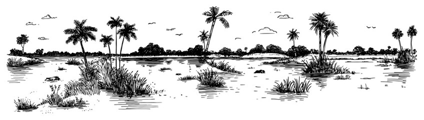 Tropical river landscape panorama with palm trees and savanna vegetation in sketch style © Kaz