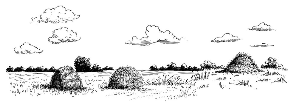 Haystacks in rural meadow landscape under cloudy sky in traditional hand drawn engraving style
