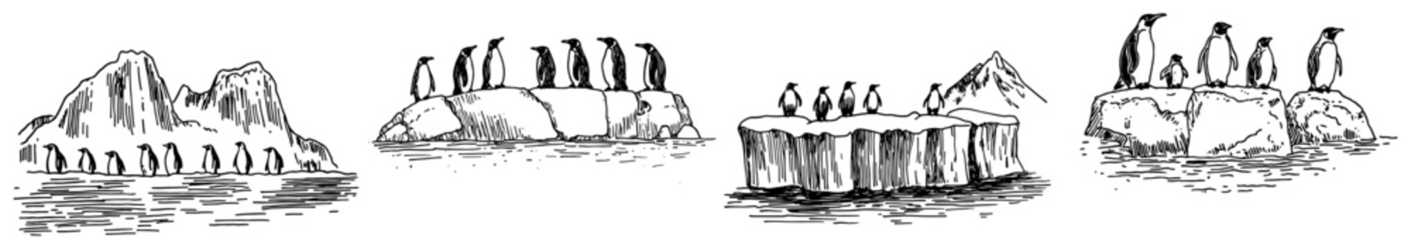 Penguins standing on icebergs and floating ice floes in antarctic engraving style