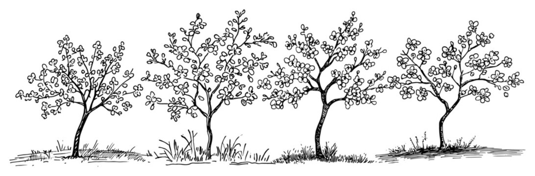 Blooming orchard trees with spring flowers set of hand drawn vintage ink sketches