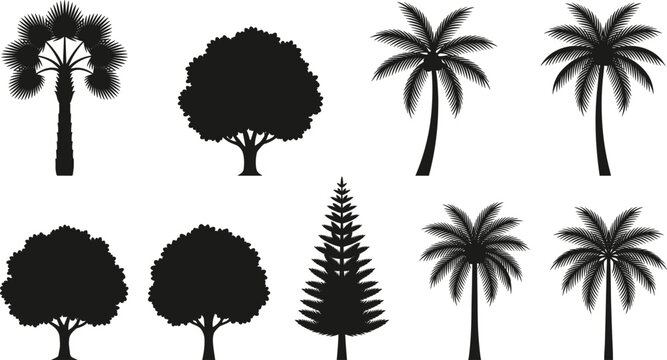 Set of diverse tree silhouette illustrations including palm, deciduous, and conifer shapes for nature and landscape design