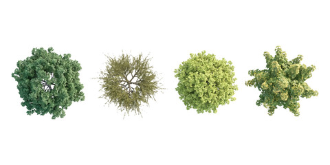 Set of four different green trees seen from above for architectural landscape design Vector, illustration © md