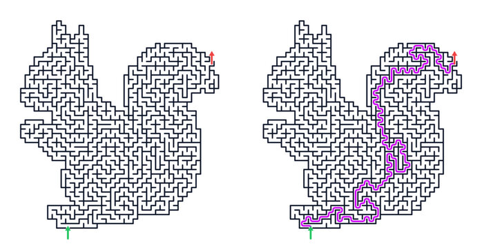 Squirrel-shaped maze for kids with solved path illustration  