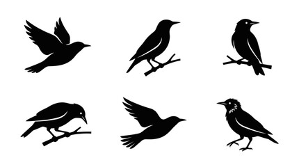 Obraz premium different black starling silhouettes on a clean white background, minimalist vector style.