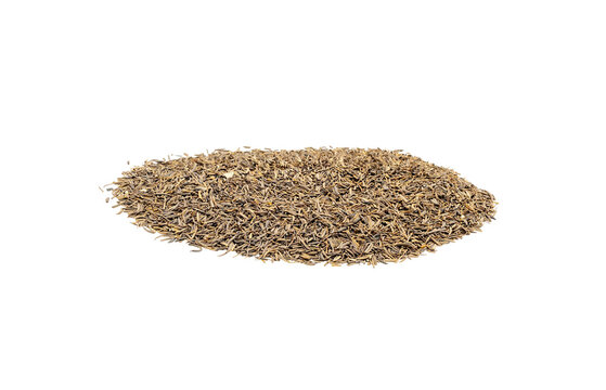 Pile of dried Shah i cumin seeds isolated on Transparent background with copy space, close-up food ingredient shot.