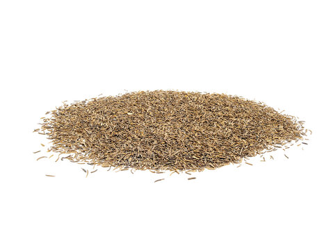 Pile of dried Shah i cumin seeds isolated on Transparent background, close-up, natural spice texture with copy space.