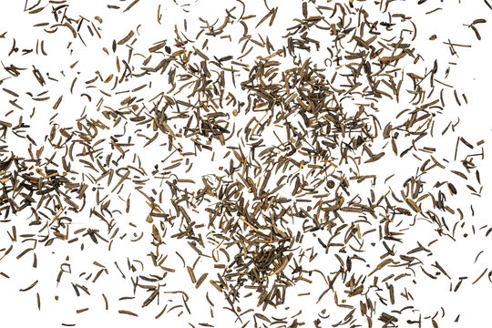 Top view of dried Shah i cumin seeds scattered on a Transparent background, macro texture with copy space for food, spice, cooking, and seasoning concepts.