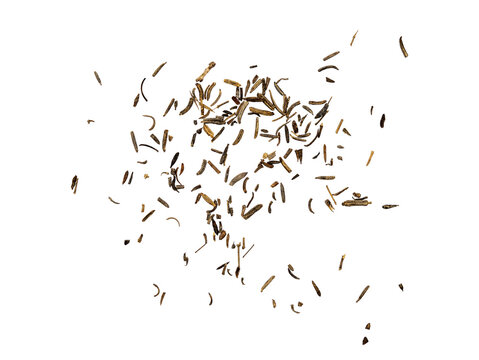 Scattered dried Shah i cumin seeds on a Transparent background, top view with ample copy space; minimalist food ingredient concept for cooking, seasoning, and spice packaging.