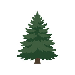Fototapeta premium Evergreen Pine Tree Illustration Isolated.