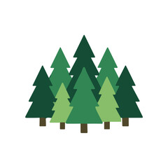 Fototapeta premium Group of Evergreen Trees Illustration.