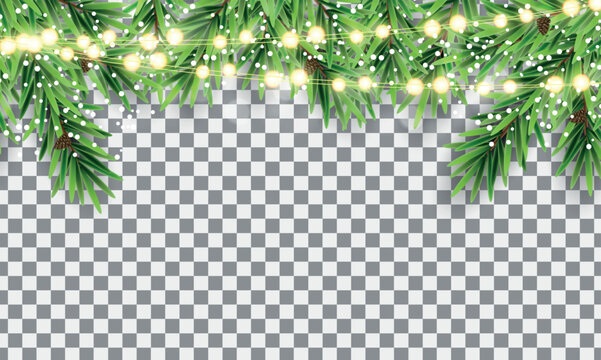 Beautiful Christmas greenery branches adorned with twinkling string lights and small white decorative lights isolated on transparent background