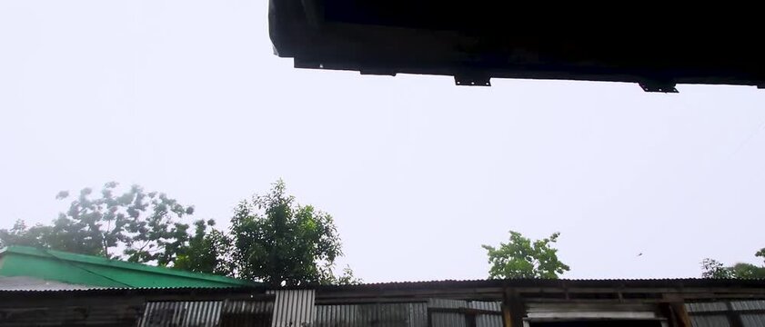 Rustic wooden buildings with green roof and trees on a rainy day