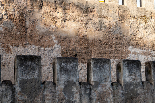 Small bird perched on ancient stone battlements of Macarena wall in Seville