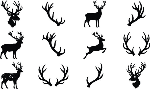 Deer Silhouette and Antler Set with Stag Buck Elk Trophy Horn Icons for Hunting Club Outdoor Adventure and Wildlife Graphic Design Vector Illustration