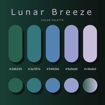 Lunar Breeze muted cool color palette poster with geometric capsule and circular swatches, visible hex codes, a subtle gradient, and dark layout for branding and UI UX design.