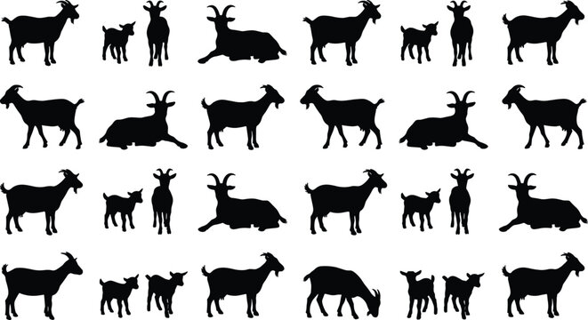 Goat silhouette vector set with adult billy goats horned nannies and little kids in various standing and lying poses