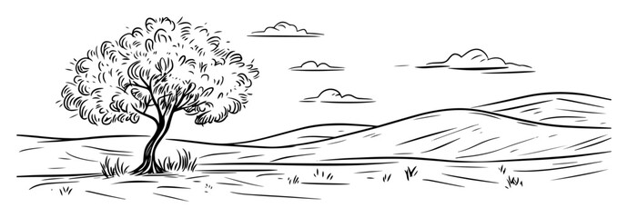 Obraz premium lonely tree in rolling hills landscape sketch