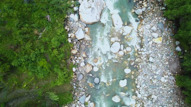 Aerial drone shot moving along river shooting straight down the turbulent fast flowing waters of parvati beas river filled with stones and surrounded by trees
