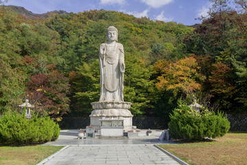 Fototapeta premium 파주보광사호국대불,보광사,고령산,파주시,경기도