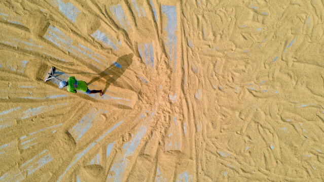 Aerial view of a farmer spreading harvested rice grain to dry on a concrete floor in Baturaden, Central Java, Indonesia.