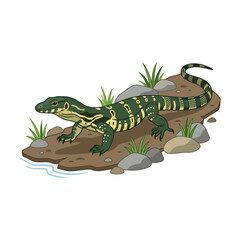 Fototapeta premium Lizard Illustration on Rocky Ground with Water
