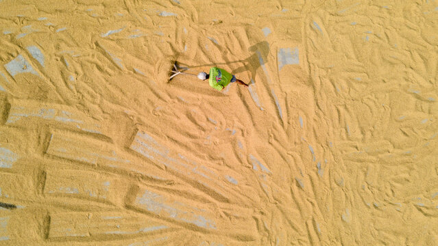 Aerial view of a farmer spreading golden rice grains on a drying floor with a rake, creating textured patterns under bright sunlight Baturaden, Central Java, Indonesia.