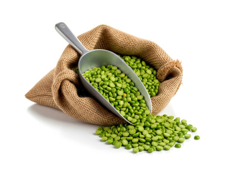 Raw organic split green peas in burlap bag with aluminum metal scoop isolated on white background