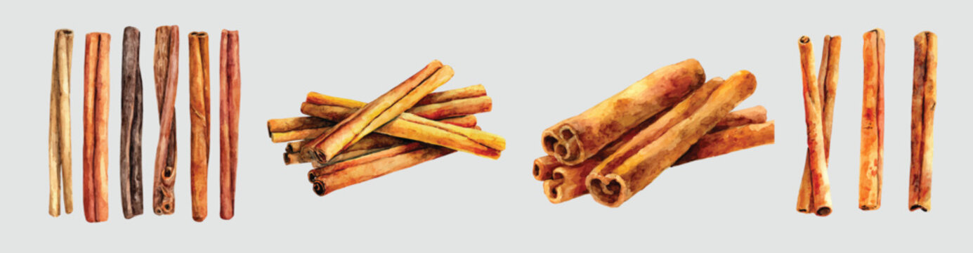 Simple watercolor style, beautiful design, cinnamon sticks set painting design. Hand-painted style, vectorized, vector set available in EPS, Simple Hand-painted 